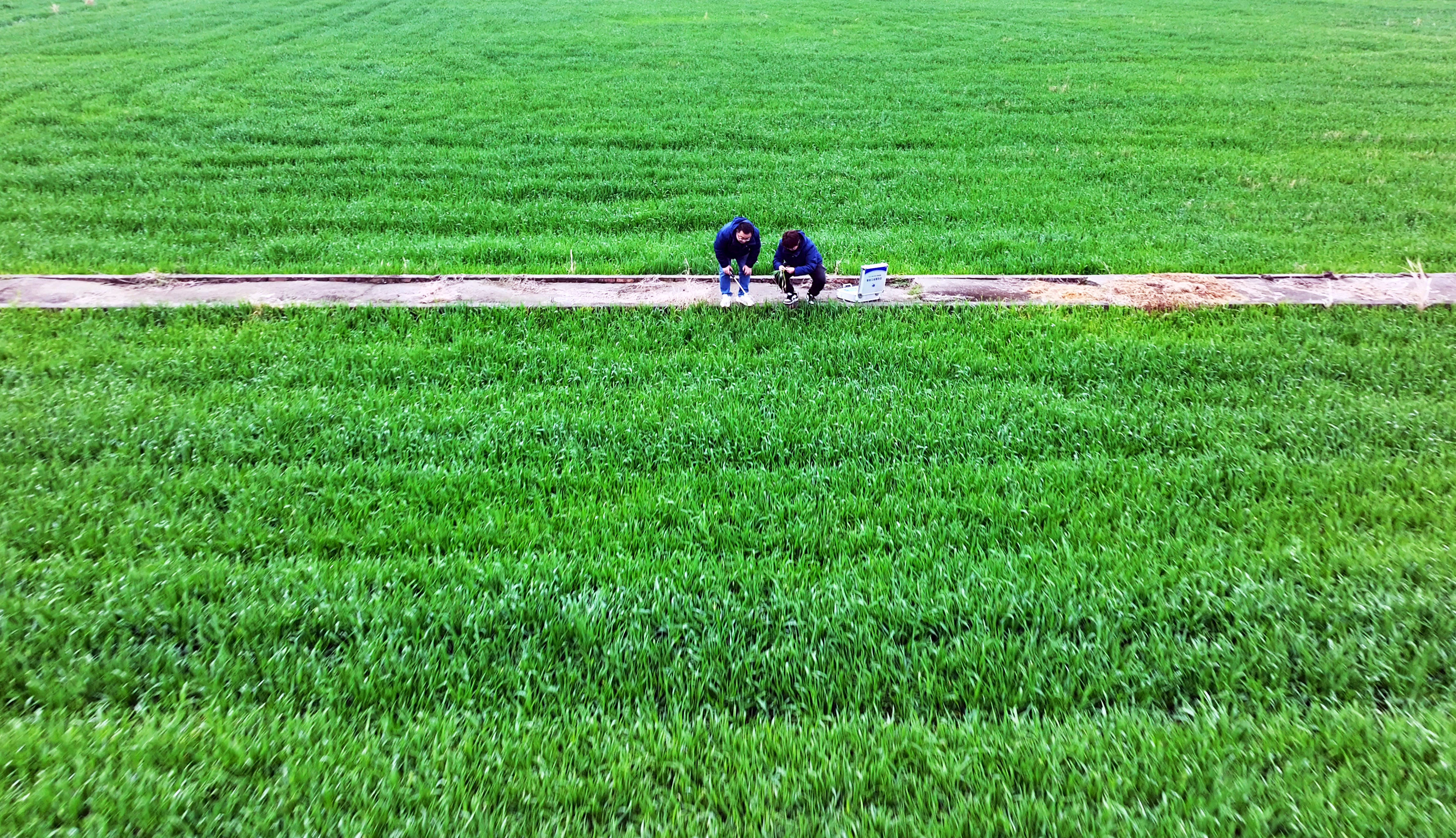 服務(wù)春耕：農(nóng)化服務(wù)當先鋒添動力