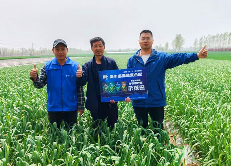 美豐肥料助力中原蒜鄉(xiāng)喜豐收