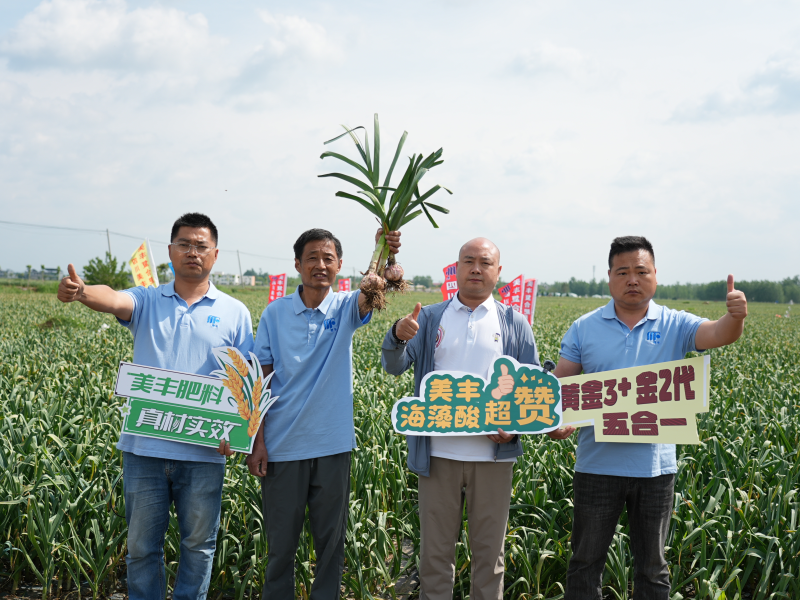 夏攻行動：四川美豐護(hù)航夏糧豐產(chǎn)豐收