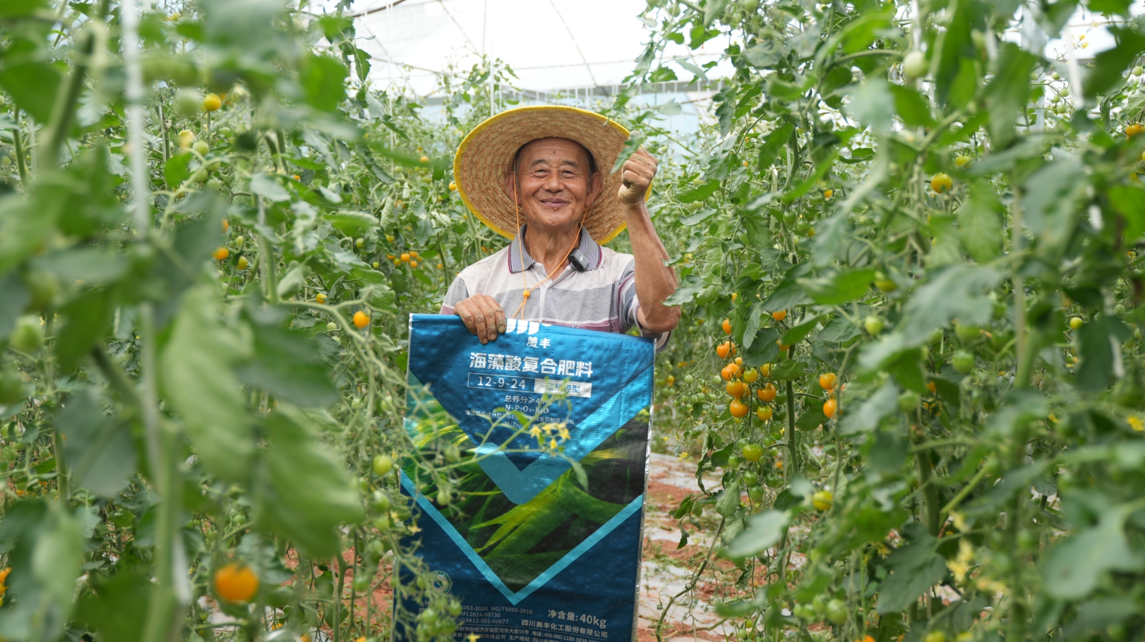 夏攻行動：“三夏”時(shí)節(jié)精準(zhǔn)發(fā)力助豐收